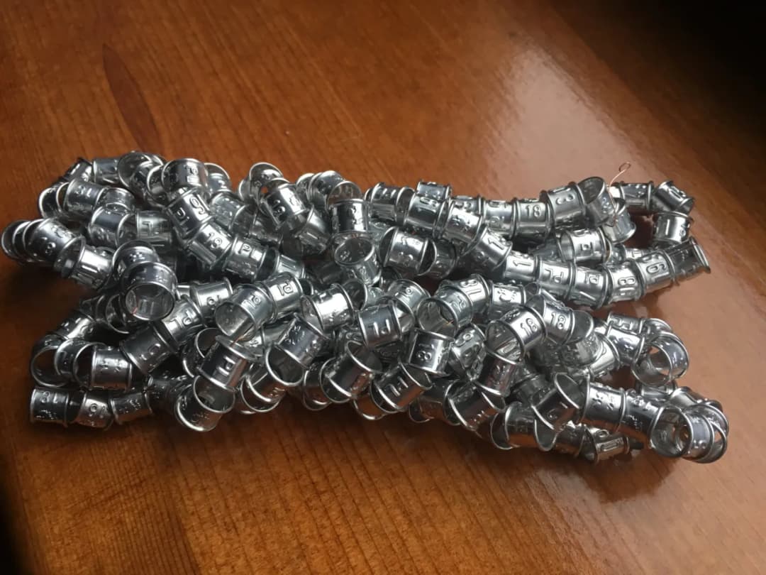 Jakie obrączki dla gołębi ozdobnych wybrać, aby uniknąć problemów?