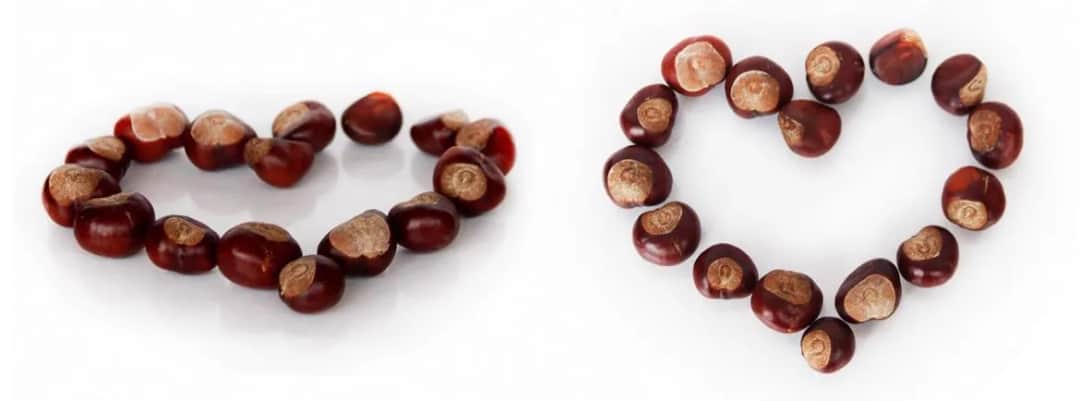 Jak zrobić naszyjnik z kasztanów - proste i kreatywne pomysły na biżuterię